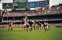 MCG